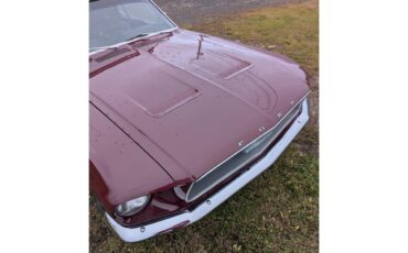 Ford-Mustang-1967-Maroon-Black-8