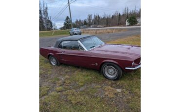 Ford-Mustang-1967-Maroon-Black-9