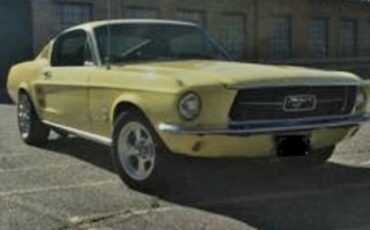 Ford-Mustang-1967-Springtime-Yellow-Black-1