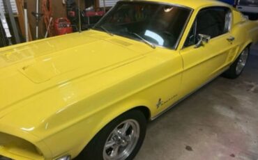Ford-Mustang-1967-Springtime-Yellow-Black-4