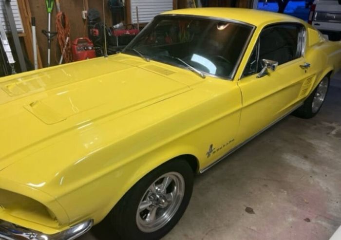 Ford-Mustang-1967-Springtime-Yellow-Black-4