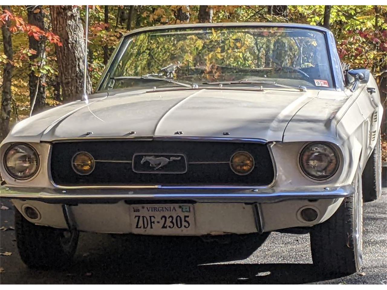 Ford-Mustang-1967-White-Black-2