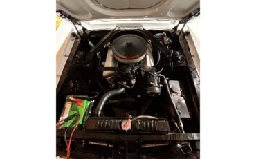 Ford-Mustang-1967-White-Black-8