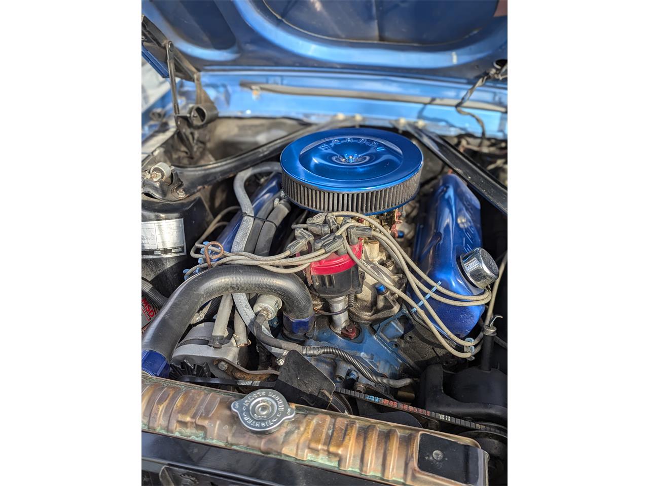 Ford-Mustang-1968-Acapolco-Blue-Blue-4