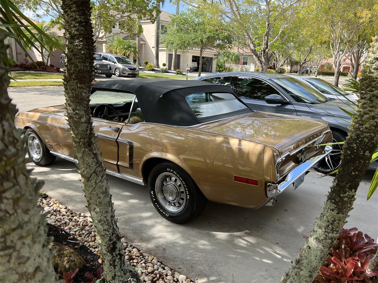 Ford-Mustang-1968-GOLD-GOLD-18