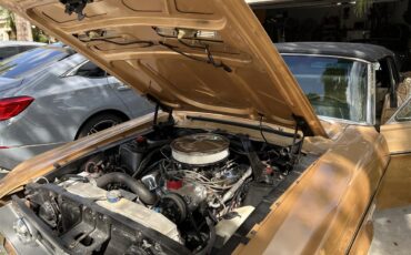 Ford-Mustang-1968-GOLD-GOLD-2