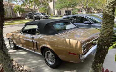 Ford-Mustang-1968-GOLD-GOLD-20