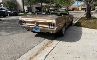 Ford-Mustang-1968-GOLD-GOLD-26