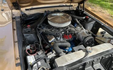Ford-Mustang-1968-GOLD-GOLD-3