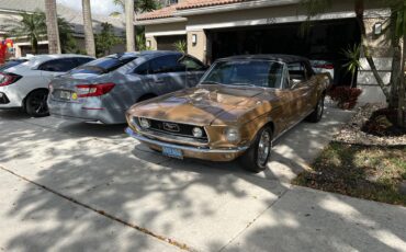 Ford-Mustang-1968-GOLD-GOLD-30