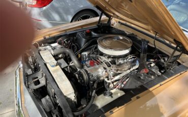 Ford-Mustang-1968-GOLD-GOLD-4