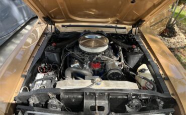 Ford-Mustang-1968-GOLD-GOLD-5