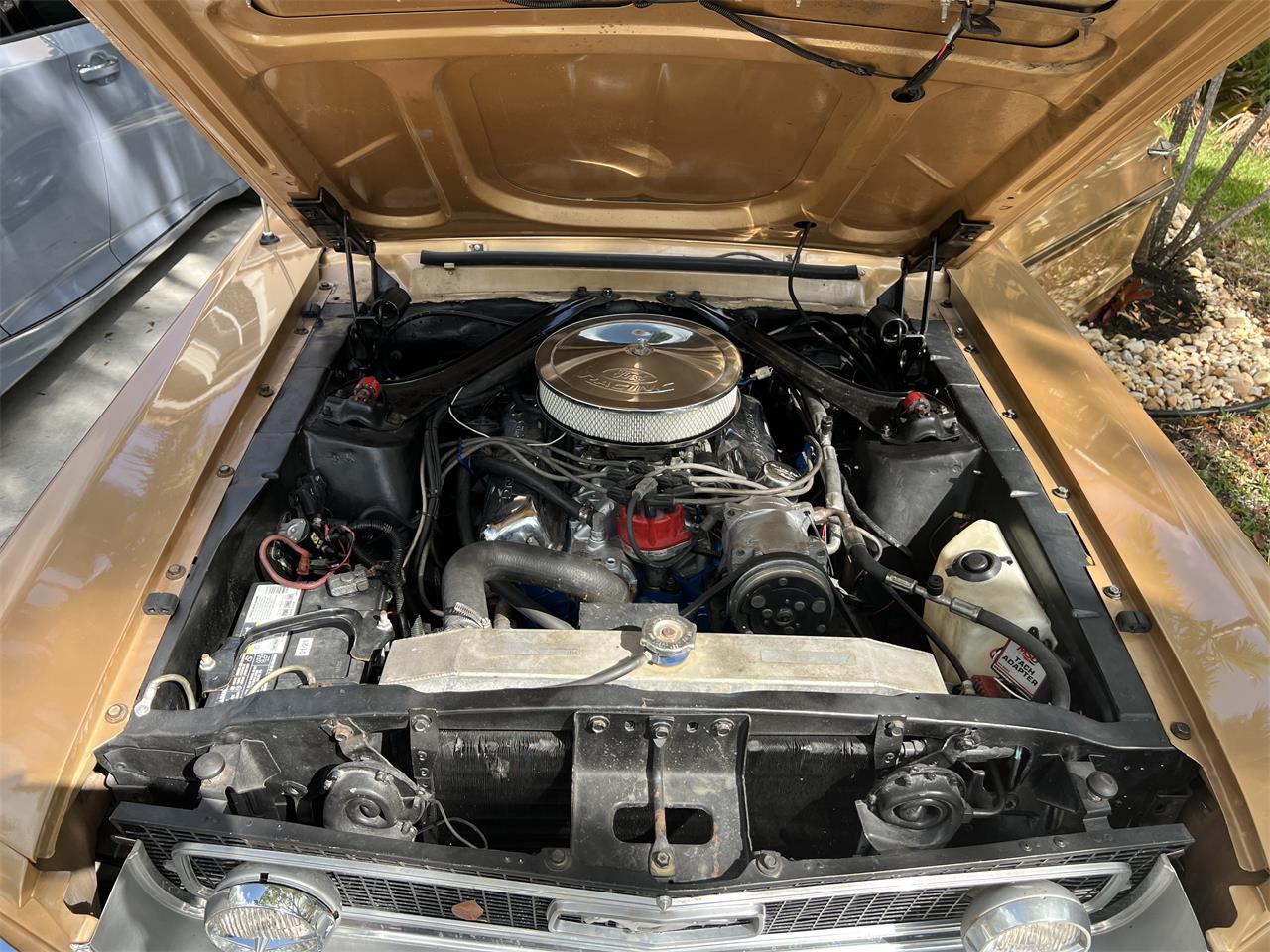 Ford-Mustang-1968-GOLD-GOLD-5