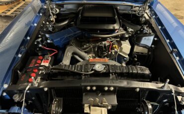 Ford-Mustang-1969-Acapulco-Blue-Black-21