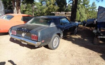 Ford-Mustang-1969-Green-2