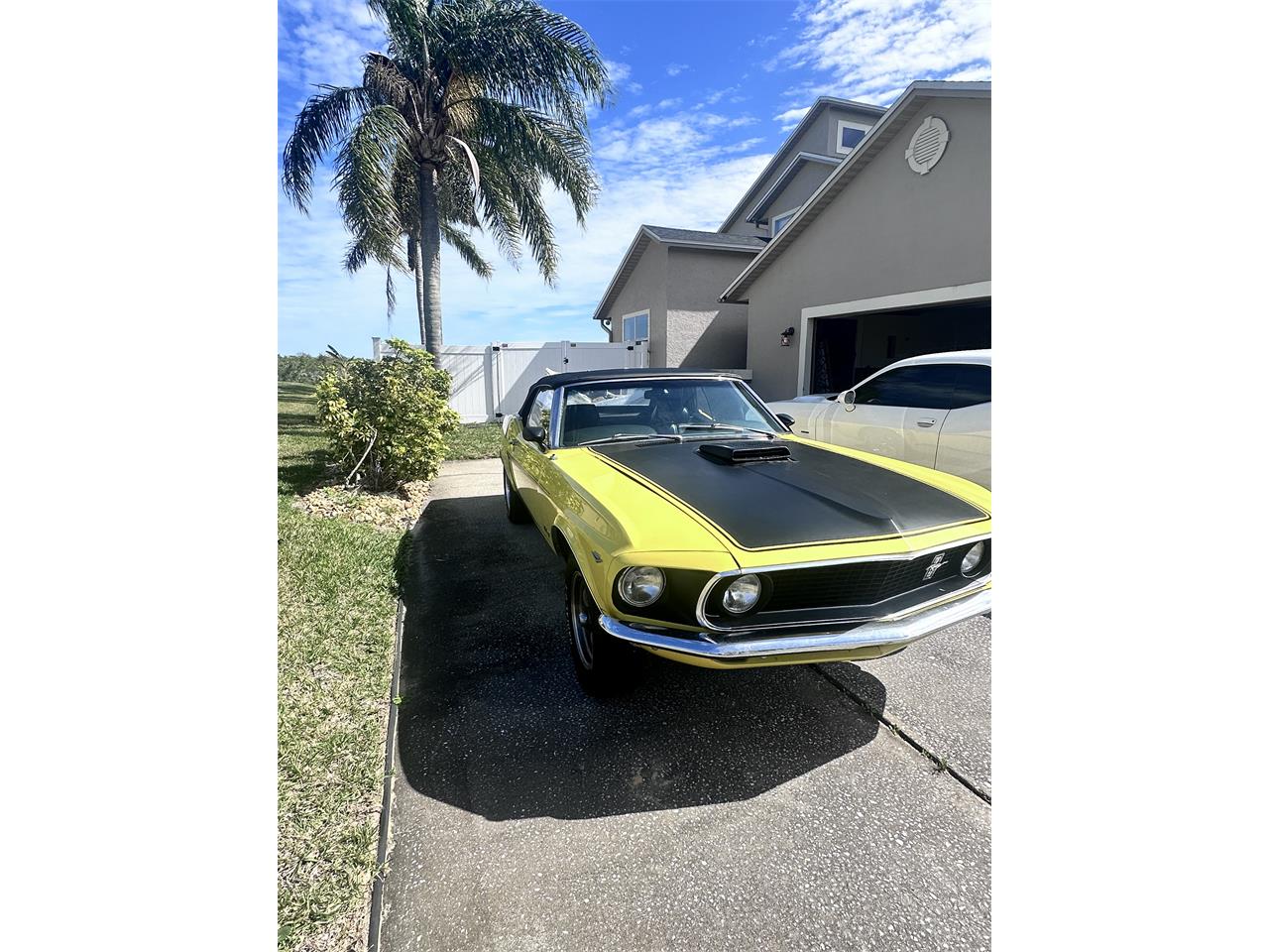 Ford-Mustang-1969-Yellow-Black-2