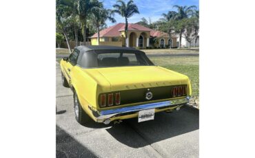 Ford-Mustang-1969-Yellow-Black-4
