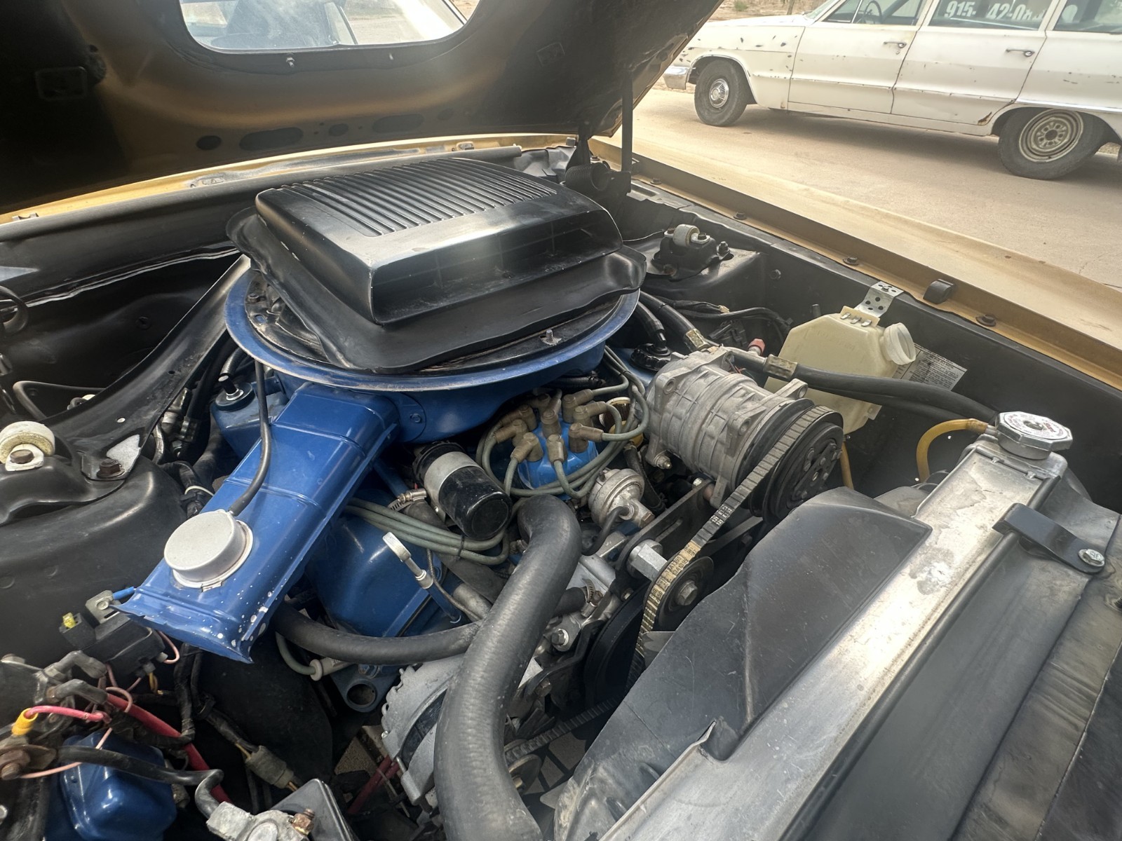 Ford-Mustang-1970-Mach-1-35