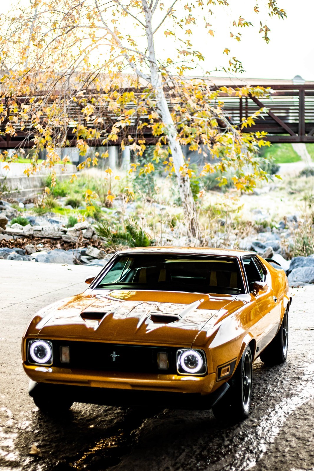 Ford-Mustang-1973-Coupe-2