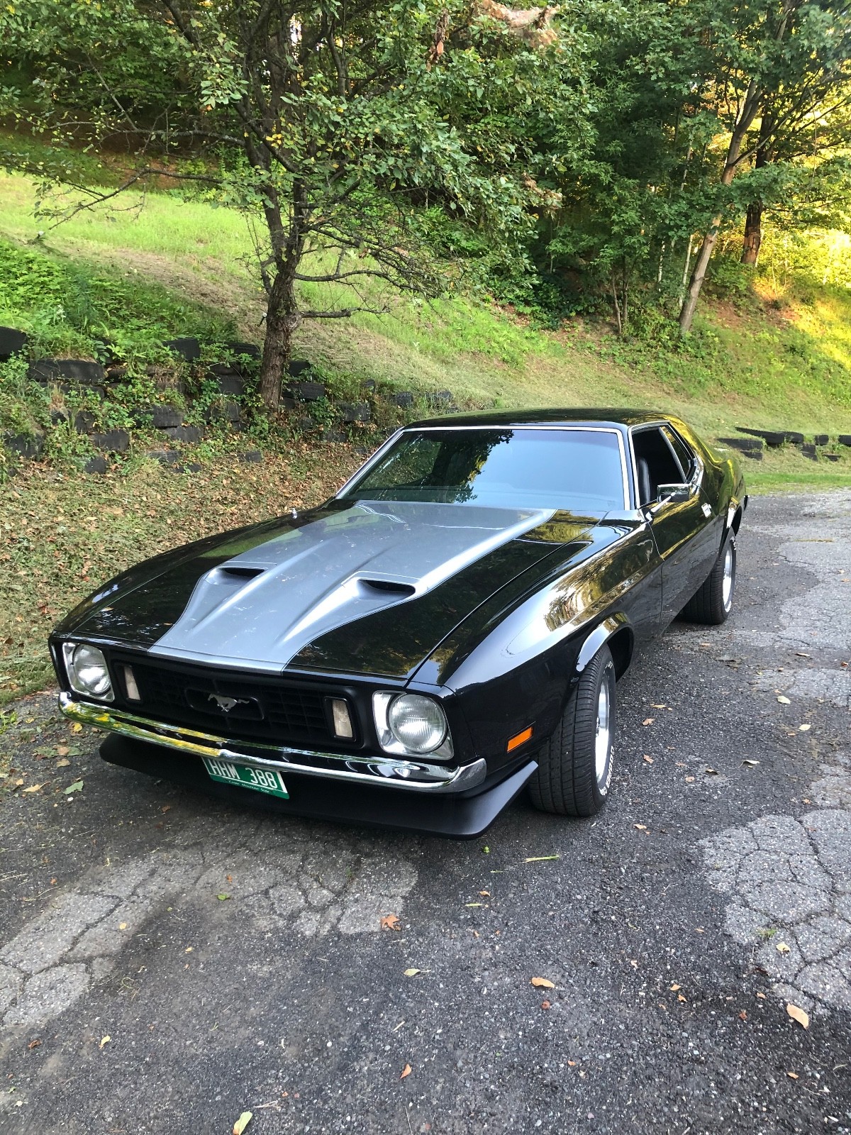 Ford-Mustang-1973-Coupe
