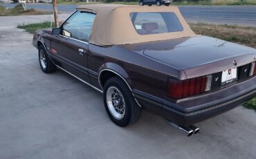 Ford-Mustang-1981-3