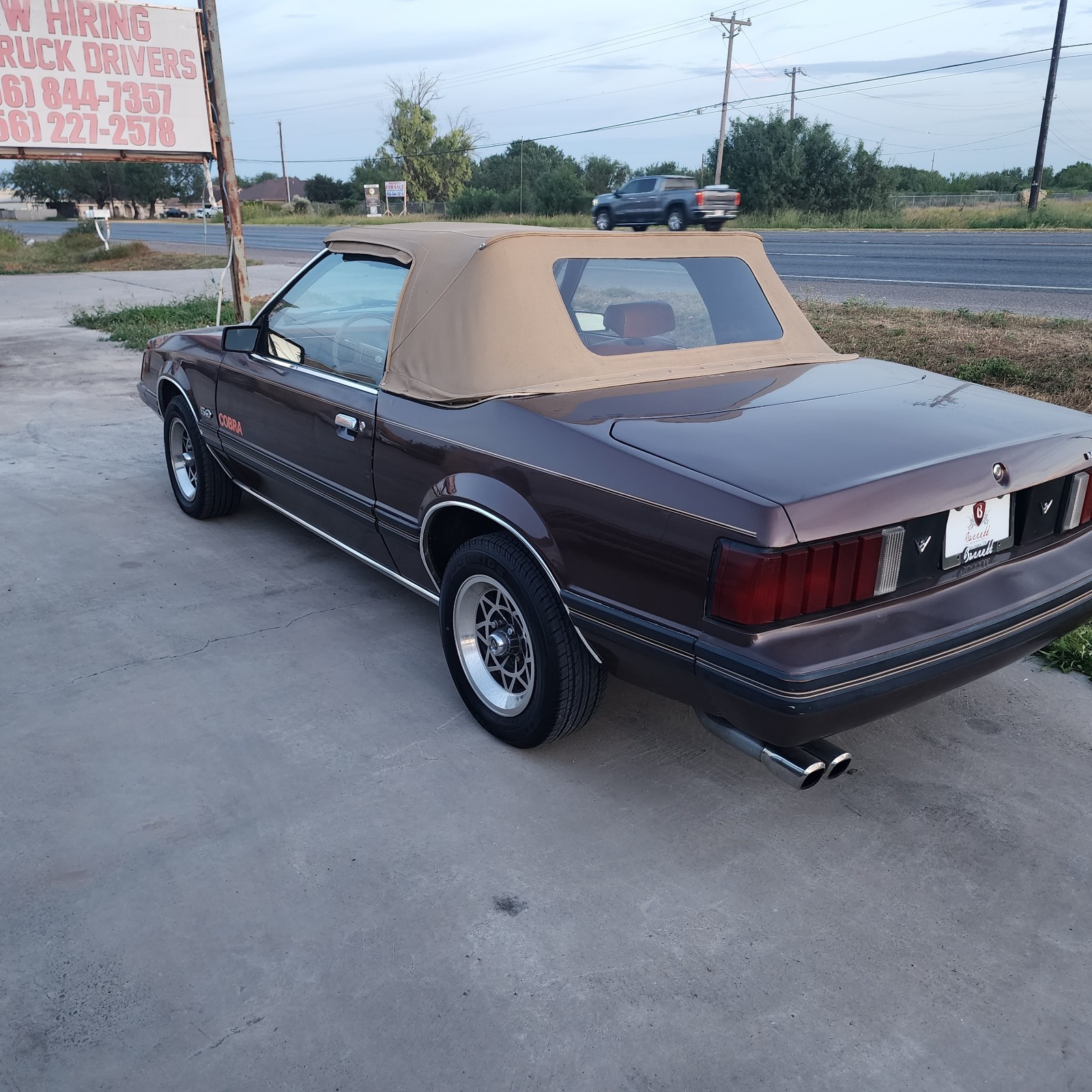 Ford-Mustang-1981-3