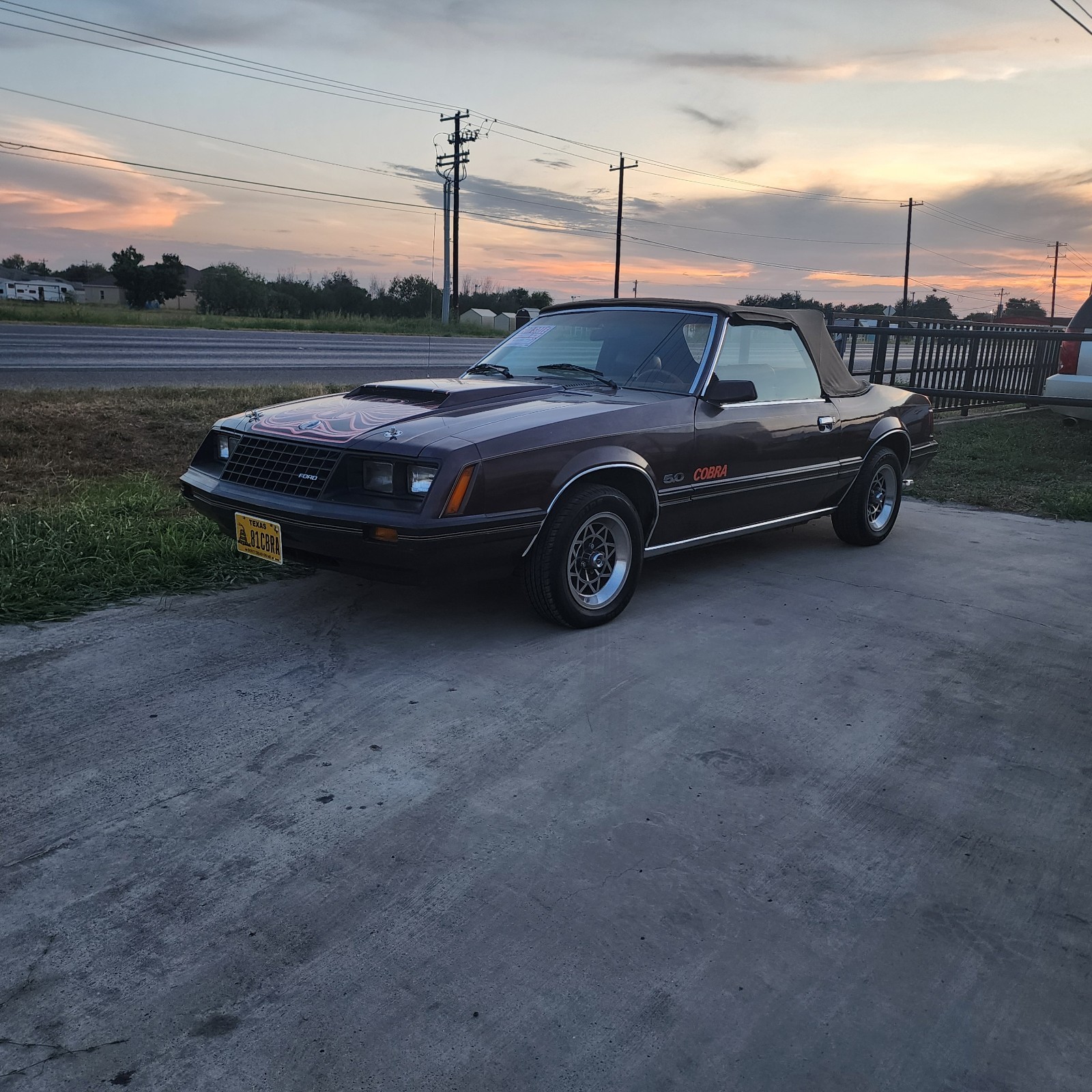 Ford-Mustang-1981-4