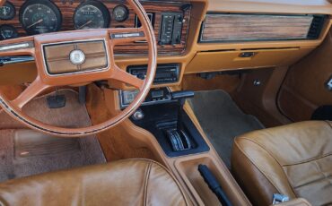 Ford-Mustang-1981-5