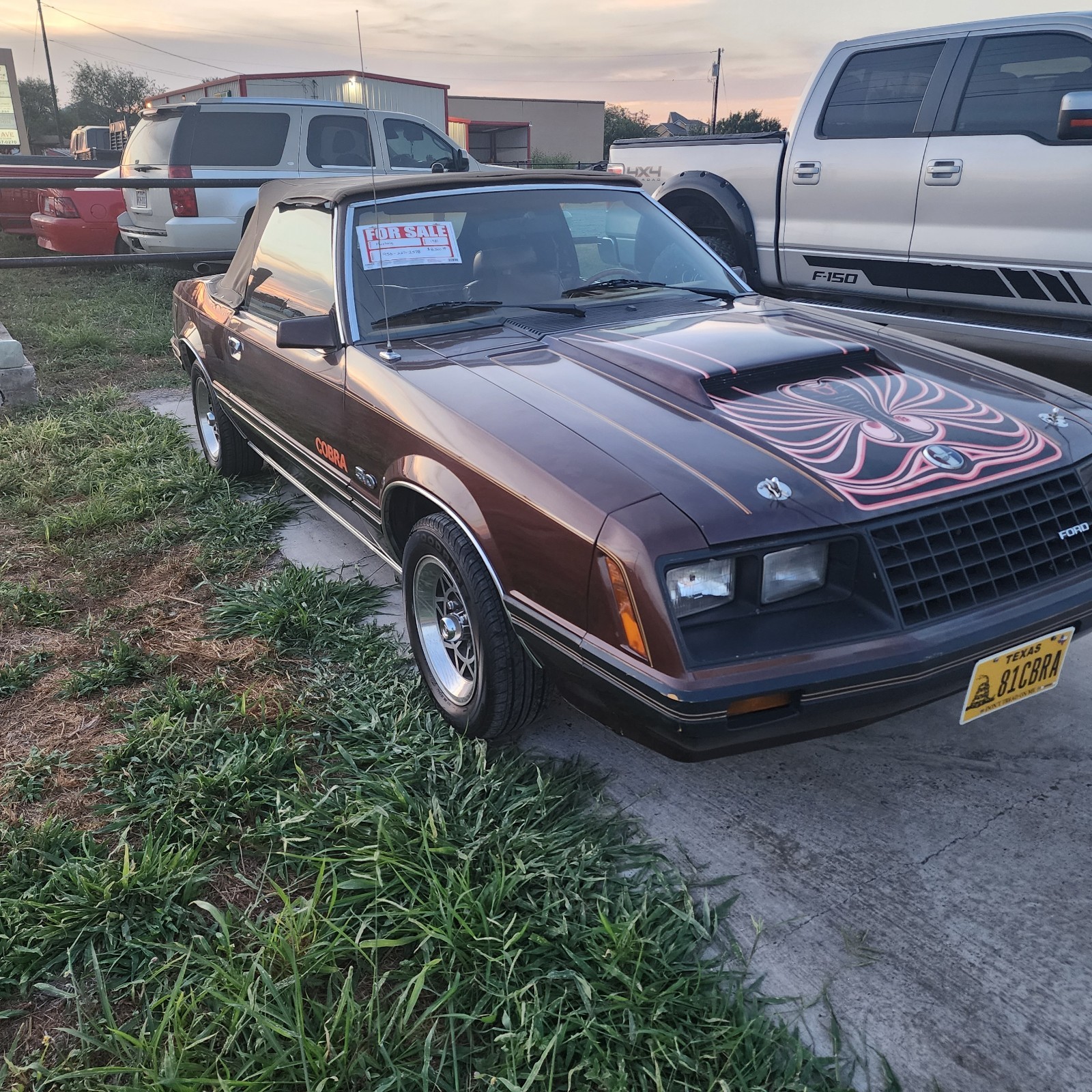 Ford-Mustang-1981