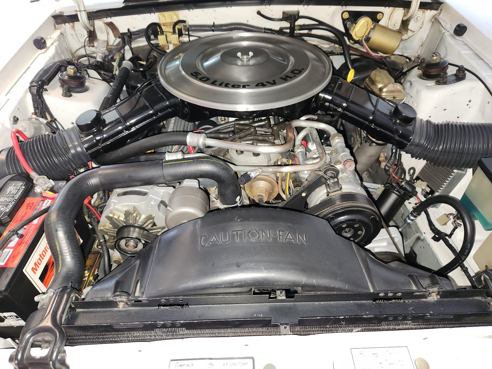 Ford-Mustang-1984-Convertible-26