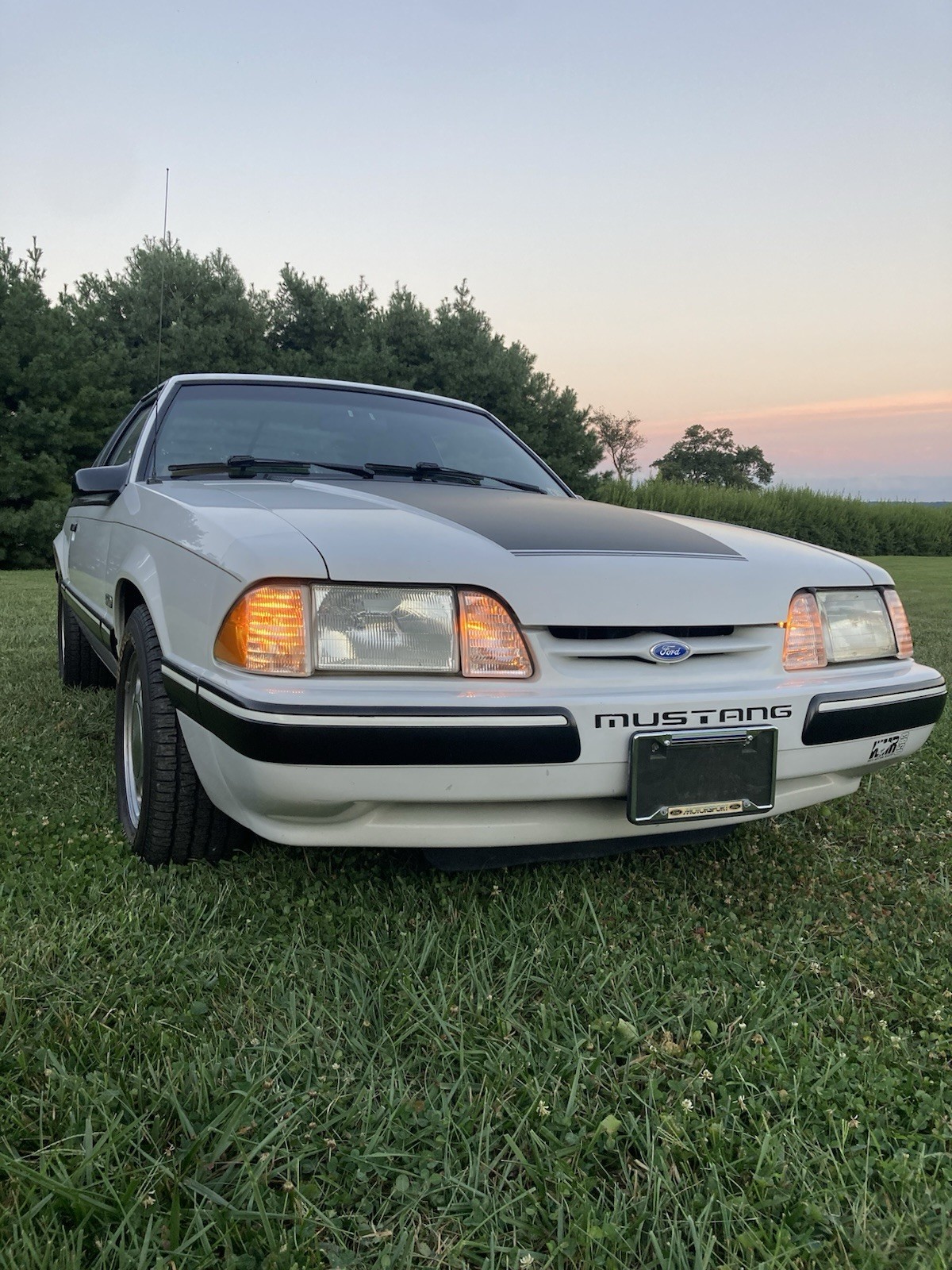 Ford-Mustang-1987-1