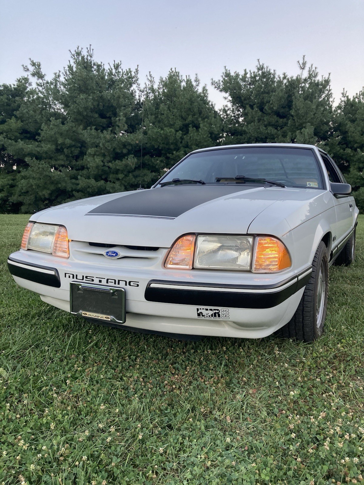 Ford Mustang 1987