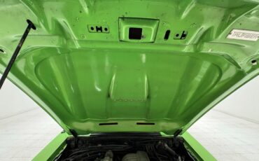Ford-Mustang-1987-Gotta-Have-It-Green-Black-28