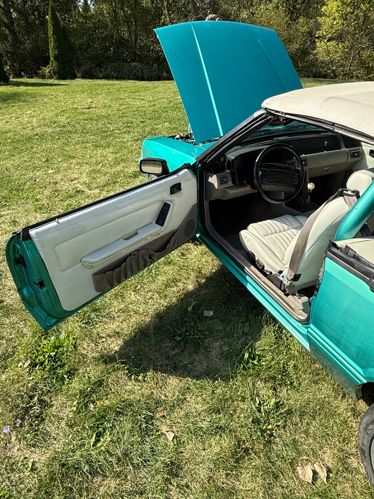 Ford-Mustang-1992-Convertible-15