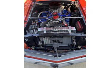 Ford-Mustang-429-super-cobra-jet-1970-Orange-Black-14