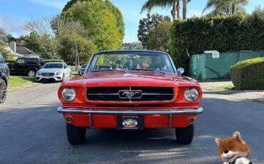 Ford-Mustang-Convertible-v8-1965-Convertible-1