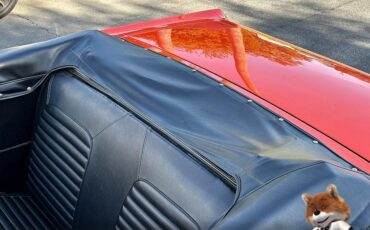 Ford-Mustang-Convertible-v8-1965-Convertible-13