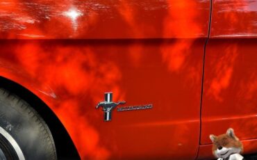 Ford-Mustang-Convertible-v8-1965-Convertible-8