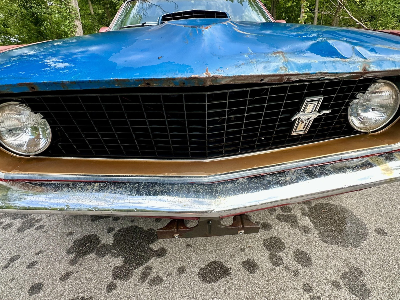 Ford-Mustang-Mach-1-R-Code-1969-Candy-Apple-R-Code-CJ-17