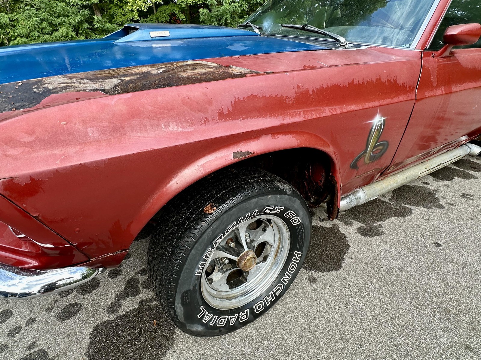 Ford-Mustang-Mach-1-R-Code-1969-Candy-Apple-R-Code-CJ-20