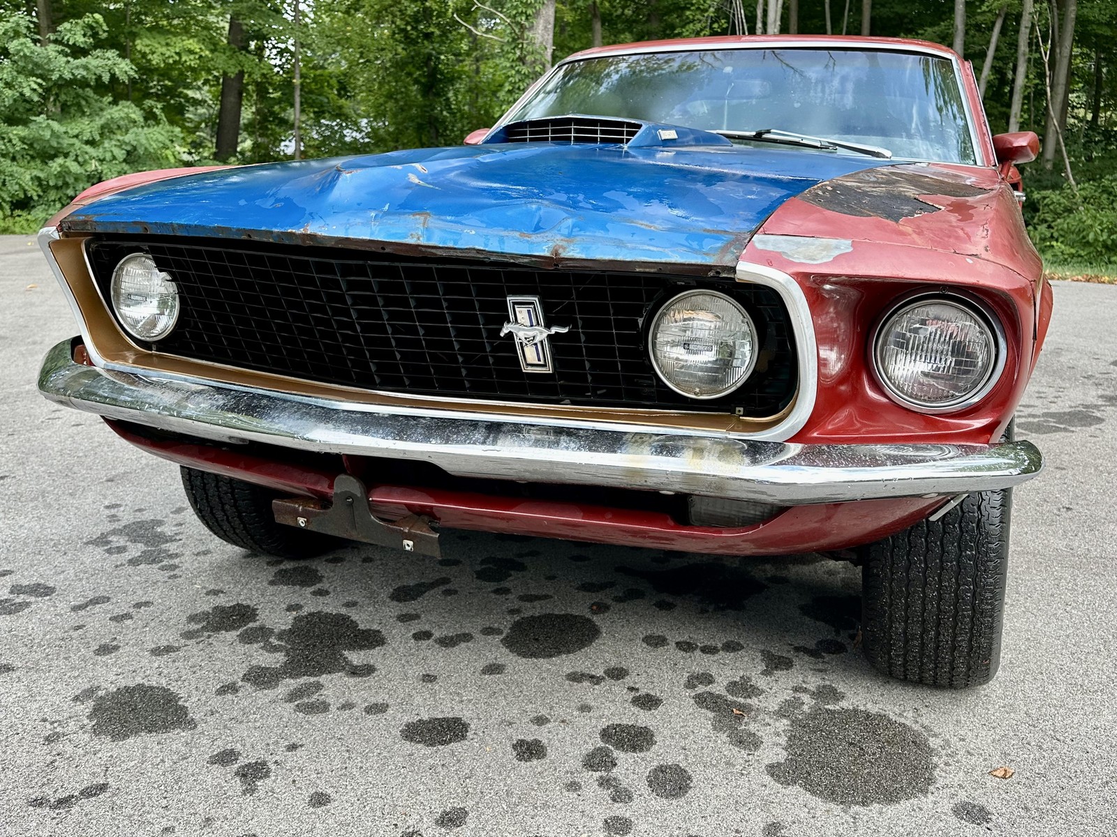Ford-Mustang-Mach-1-R-Code-1969-Candy-Apple-R-Code-CJ-5