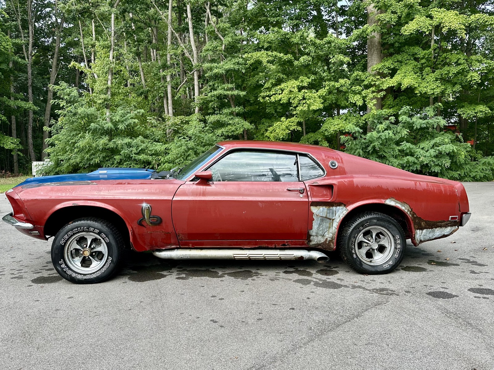 Ford-Mustang-Mach-1-R-Code-1969-Candy-Apple-R-Code-CJ-7