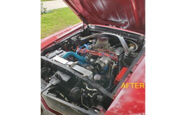 Ford-Mustang-grande-1969-Candy-Apple-Red-Gold-Nugget-3
