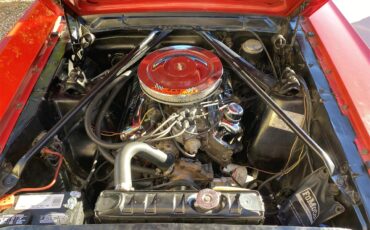 Ford-Mustang-gt-1965-Rangoon-Red-White-and-Red-11