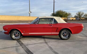 Ford-Mustang-gt-1965-Rangoon-Red-White-and-Red-2