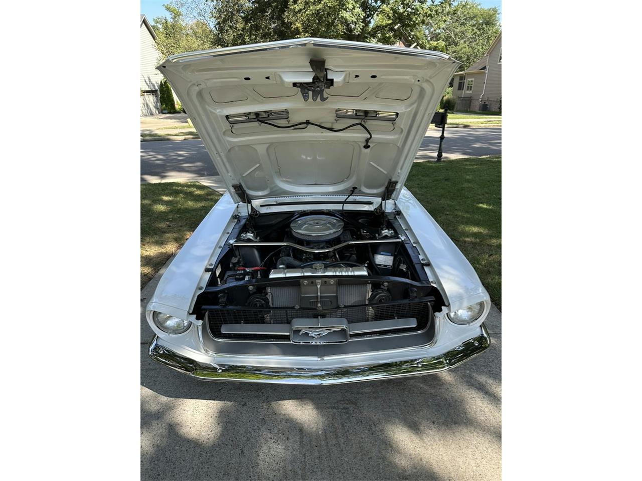 Ford-Mustang-gt-1967-Wimbledon-White-Black-14