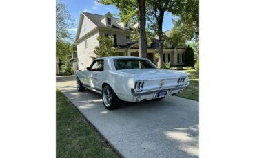 Ford-Mustang-gt-1967-Wimbledon-White-Black-6
