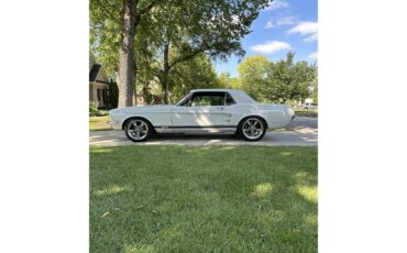 Ford-Mustang-gt-1967-Wimbledon-White-Black-7