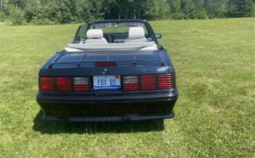 Ford-Mustang-gt-1989-Black-White-1