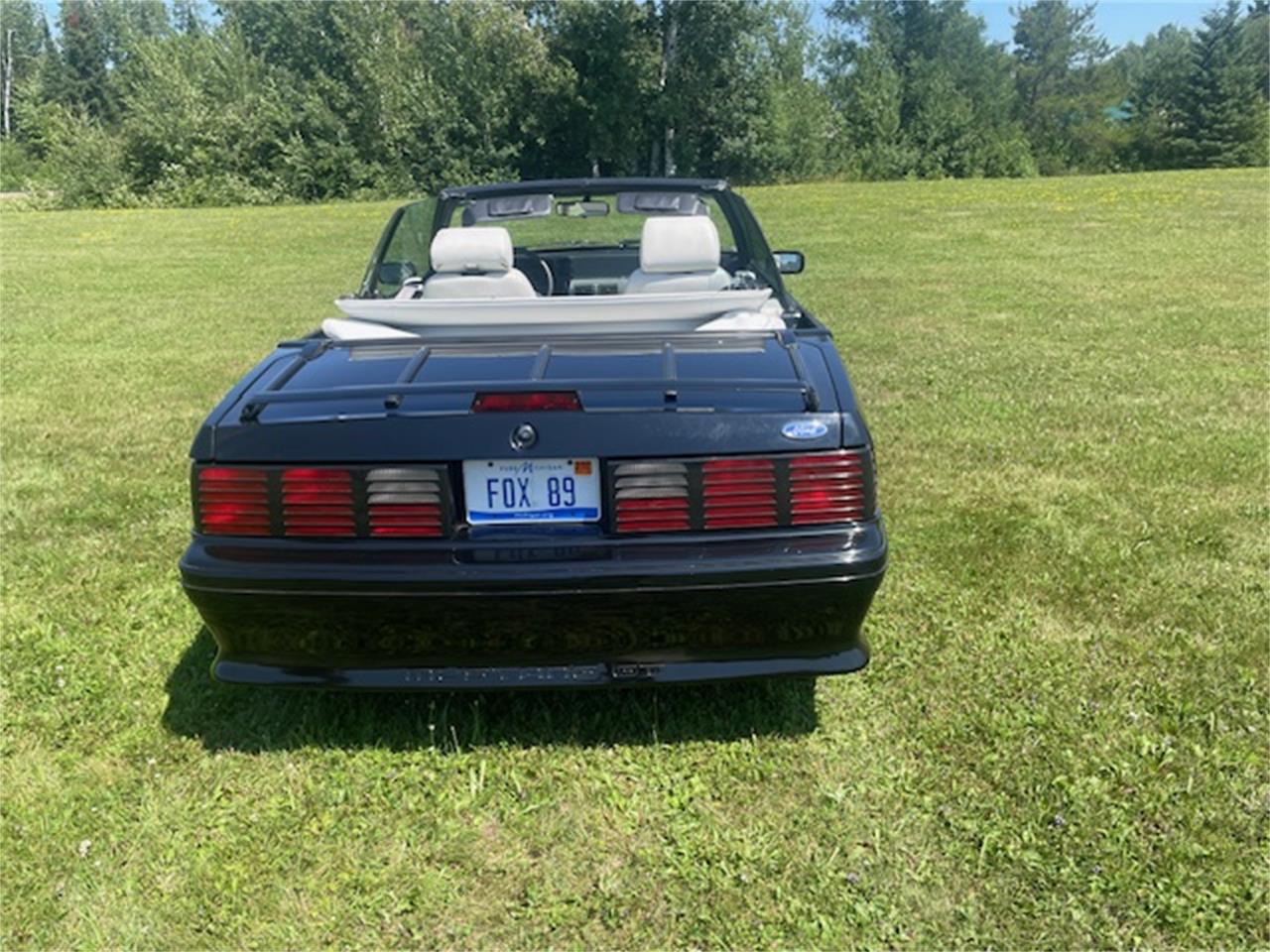 Ford-Mustang-gt-1989-Black-White-1
